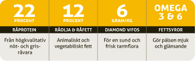 Allround-Innehallsgrafik