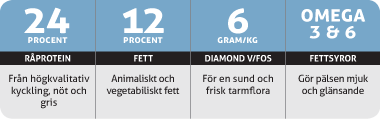 Allround-Innehallsgrafik